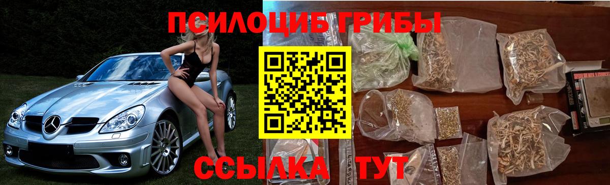 купить  цена  Вход с VPN  Владикавказ  Псилоцибиновые грибы Psilocybine cubensis 
